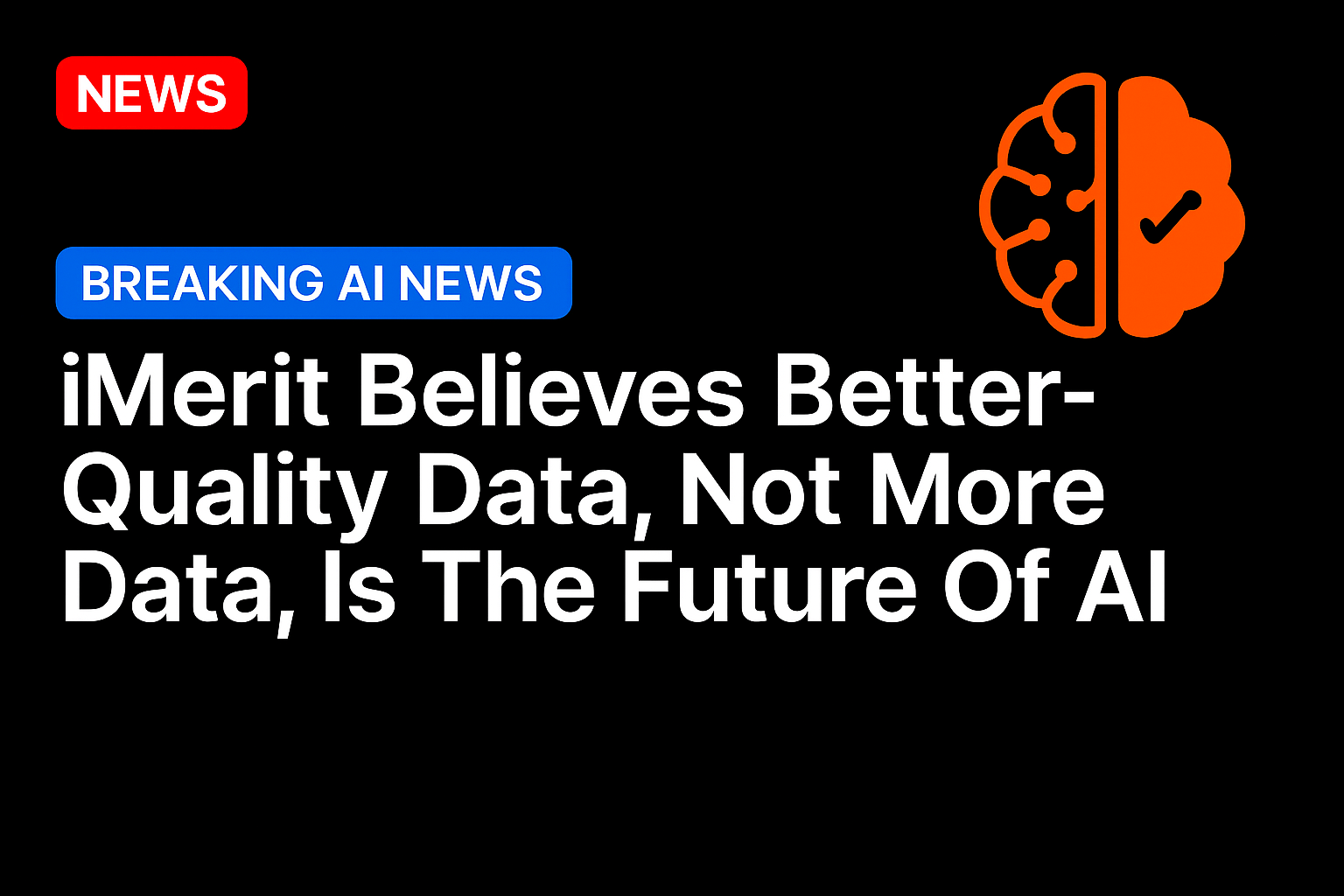 iMerit believes better-quality data, not more data, is the future of AI