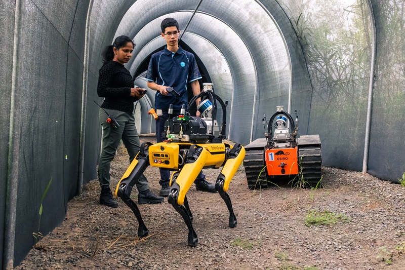 Queensland Government and CSIRO launch free program to help SMEs advance AI and digital tech ideas